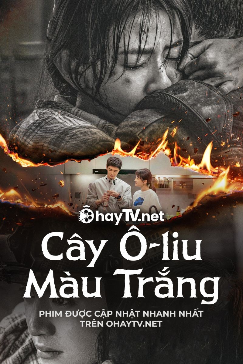 Cây Ô Liu Màu Trắng (Thuyết Minh)